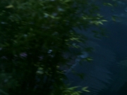 extant_StarTrekDS9_2x03-TheSiege_02787.jpg