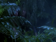 Filename=extant_StarTrekDS9_2x03-TheSiege_02835.jpg
Filesize=205KiB
Dimensions=1200x900
Date added=Jun 21, 2019 extant_StarTrekDS9_2x03-TheSiege_02835.jpg