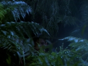 Filename=extant_StarTrekDS9_2x03-TheSiege_02836.jpg
Filesize=203KiB
Dimensions=1200x900
Date added=Jun 21, 2019 extant_StarTrekDS9_2x03-TheSiege_02836.jpg