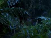 Filename=extant_StarTrekDS9_2x03-TheSiege_02838.jpg
Filesize=200KiB
Dimensions=1200x900
Date added=Jun 21, 2019 extant_StarTrekDS9_2x03-TheSiege_02838.jpg