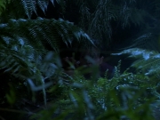 Filename=extant_StarTrekDS9_2x03-TheSiege_02839.jpg
Filesize=199KiB
Dimensions=1200x900
Date added=Jun 21, 2019 extant_StarTrekDS9_2x03-TheSiege_02839.jpg