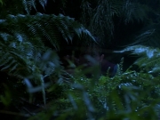 Filename=extant_StarTrekDS9_2x03-TheSiege_02840.jpg
Filesize=196KiB
Dimensions=1200x900
Date added=Jun 21, 2019 extant_StarTrekDS9_2x03-TheSiege_02840.jpg