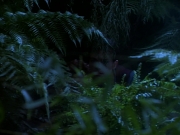 Filename=extant_StarTrekDS9_2x03-TheSiege_02841.jpg
Filesize=196KiB
Dimensions=1200x900
Date added=Jun 21, 2019 extant_StarTrekDS9_2x03-TheSiege_02841.jpg