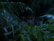Filename=extant_StarTrekDS9_2x03-TheSiege_02842.jpg
Filesize=188KiB
Dimensions=1200x900
Date added=Jun 21, 2019 extant_StarTrekDS9_2x03-TheSiege_02842.jpg