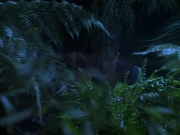 Filename=extant_StarTrekDS9_2x03-TheSiege_02843.jpg
Filesize=182KiB
Dimensions=1200x900
Date added=Jun 21, 2019 extant_StarTrekDS9_2x03-TheSiege_02843.jpg