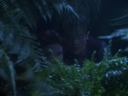 Filename=extant_StarTrekDS9_2x03-TheSiege_02846.jpg
Filesize=157KiB
Dimensions=1200x900
Date added=Jun 21, 2019 extant_StarTrekDS9_2x03-TheSiege_02846.jpg