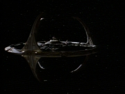 Filename=extant_StarTrekDS9_2x03-TheSiege_03771.jpg
Filesize=114KiB
Dimensions=1200x900
Date added=Jun 21, 2019 extant_StarTrekDS9_2x03-TheSiege_03771.jpg