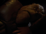 Filename=extant_StarTrekDS9_2x07-RulesOfAcquisition_00009.jpg
Filesize=105KiB
Dimensions=1200x900
Date added=Jun 22, 2019 extant_StarTrekDS9_2x07-RulesOfAcquisition_00009.jpg