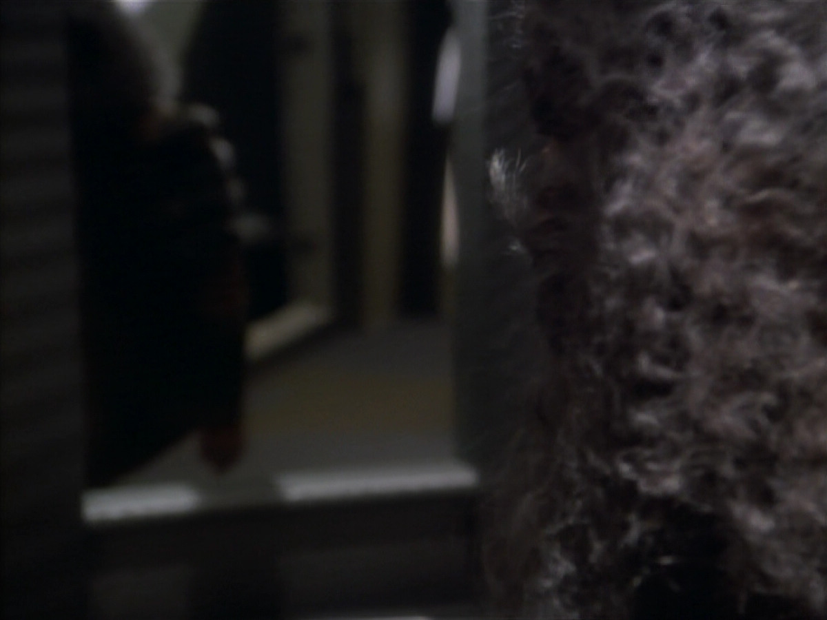 extant_StarTrekDS9_2x19-BloodOath_00589.jpg