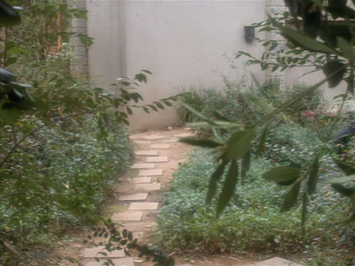 extant_StarTrekDS9_2x19-BloodOath_03146.jpg
