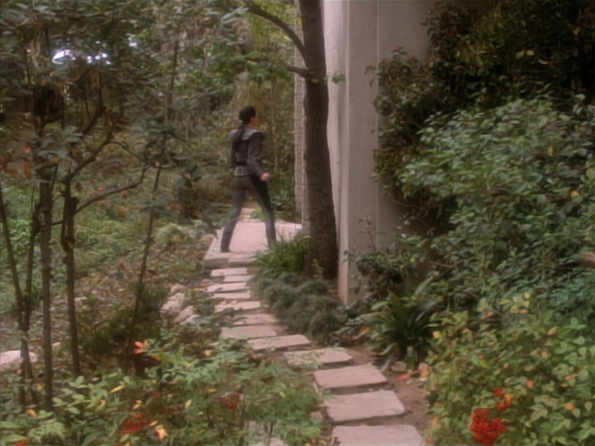 extant_StarTrekDS9_2x19-BloodOath_03178.jpg