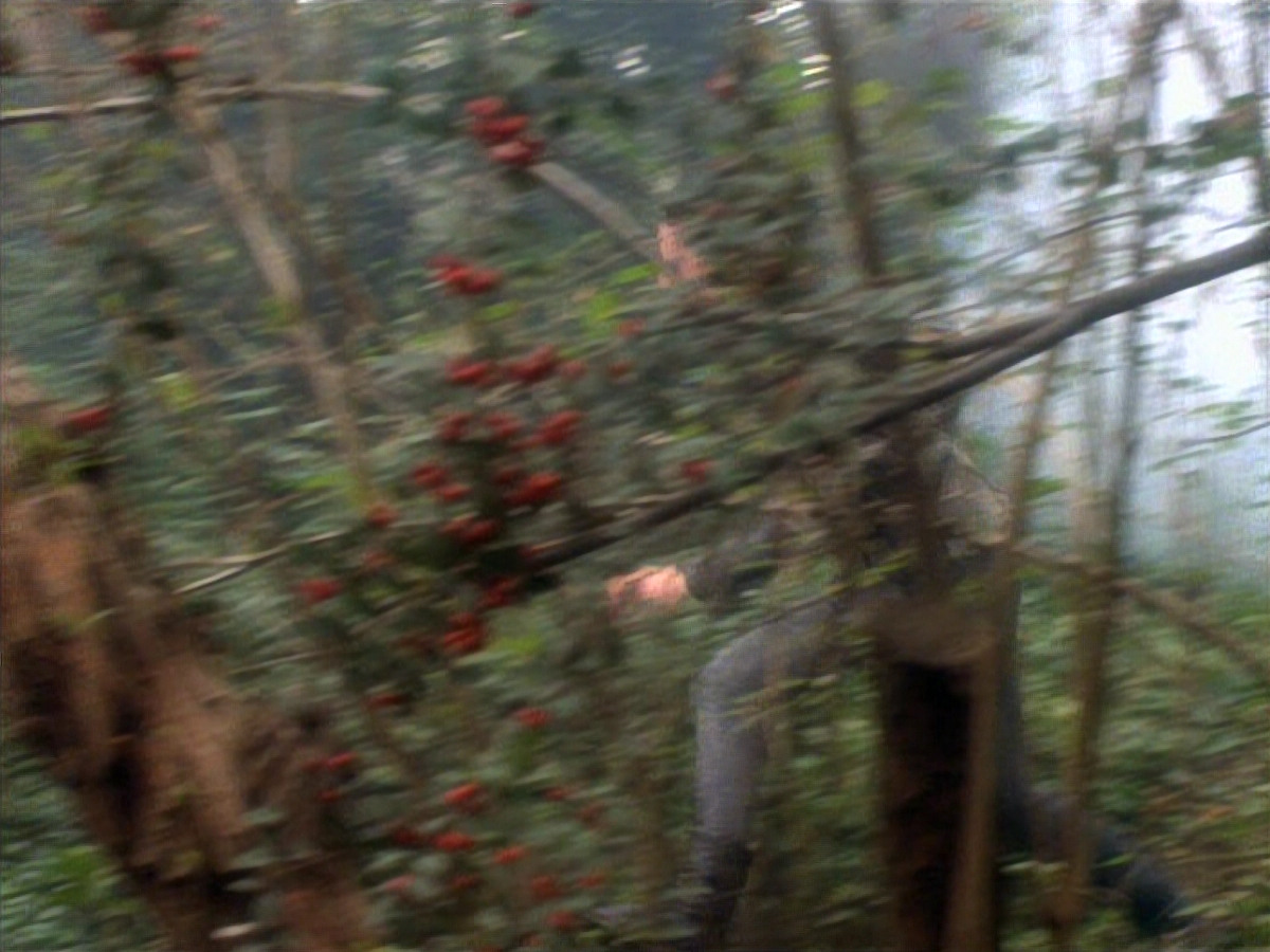 extant_StarTrekDS9_2x19-BloodOath_03199.jpg