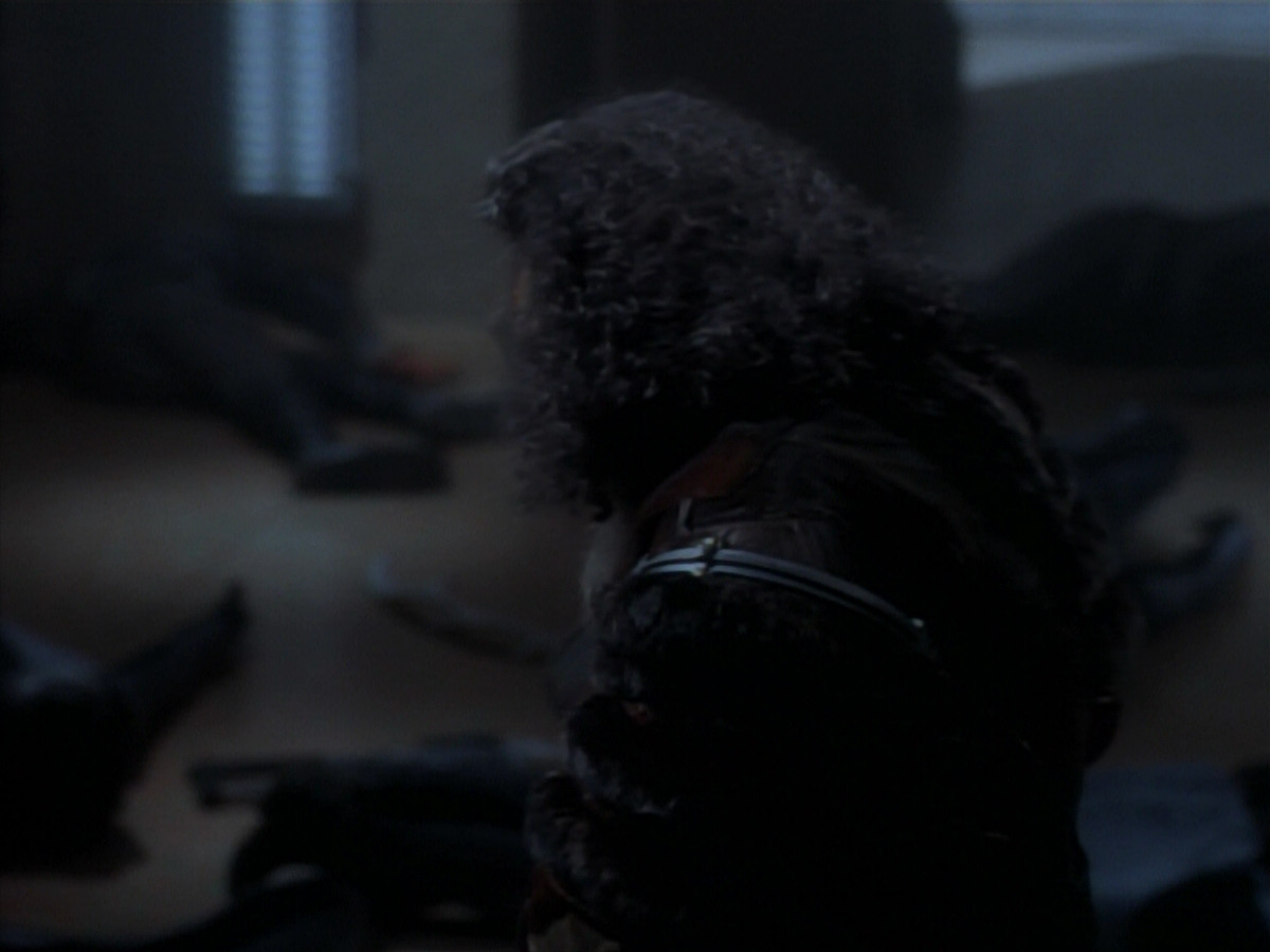 extant_StarTrekDS9_2x19-BloodOath_03679.jpg