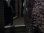 Filename=extant_StarTrekDS9_2x19-BloodOath_00589.jpg
Filesize=117KiB
Dimensions=1200x900
Date added=Jul 01, 2019 extant_StarTrekDS9_2x19-BloodOath_00589.jpg