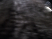 Filename=extant_StarTrekDS9_2x19-BloodOath_00696.jpg
Filesize=124KiB
Dimensions=1200x900
Date added=Jul 01, 2019 extant_StarTrekDS9_2x19-BloodOath_00696.jpg