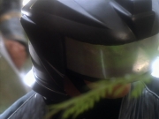 extant_StarTrekDS9_2x19-BloodOath_03066.jpg