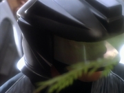 extant_StarTrekDS9_2x19-BloodOath_03067.jpg