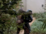 extant_StarTrekDS9_2x19-BloodOath_03137.jpg