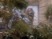 Filename=extant_StarTrekDS9_2x19-BloodOath_03269.jpg
Filesize=227KiB
Dimensions=1200x900
Date added=Jul 01, 2019 extant_StarTrekDS9_2x19-BloodOath_03269.jpg