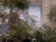 extant_StarTrekDS9_2x19-BloodOath_03273.jpg