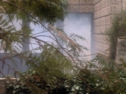 extant_StarTrekDS9_2x19-BloodOath_03274.jpg