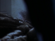 Filename=extant_StarTrekDS9_2x19-BloodOath_03538.jpg
Filesize=100KiB
Dimensions=1200x900
Date added=Jul 01, 2019 extant_StarTrekDS9_2x19-BloodOath_03538.jpg
