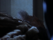 extant_StarTrekDS9_2x19-BloodOath_03539.jpg