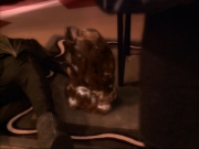 Filename=ariane179254_StarTrek_DS9_3x05-SecondSkin_3469.jpg
Filesize=121KiB
Dimensions=1200x900
Date added=Feb 19, 2017 ariane179254_StarTrek_DS9_3x05-SecondSkin_3469.jpg