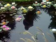 Filename=extant_StarTrekDS9_3x08-Meridian_02328.jpg
Filesize=242KiB
Dimensions=1200x900
Date added=Jul 19, 2019 extant_StarTrekDS9_3x08-Meridian_02328.jpg