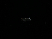 Filename=extant_StarTrek_DS9_3x20-ImprobableCause_01546.jpg
Filesize=51KiB
Dimensions=1200x900
Date added=Sep 07, 2019 extant_StarTrek_DS9_3x20-ImprobableCause_01546.jpg