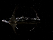 extant_StarTrek_DS9_3x21-TheDieIsCast_01190.jpg