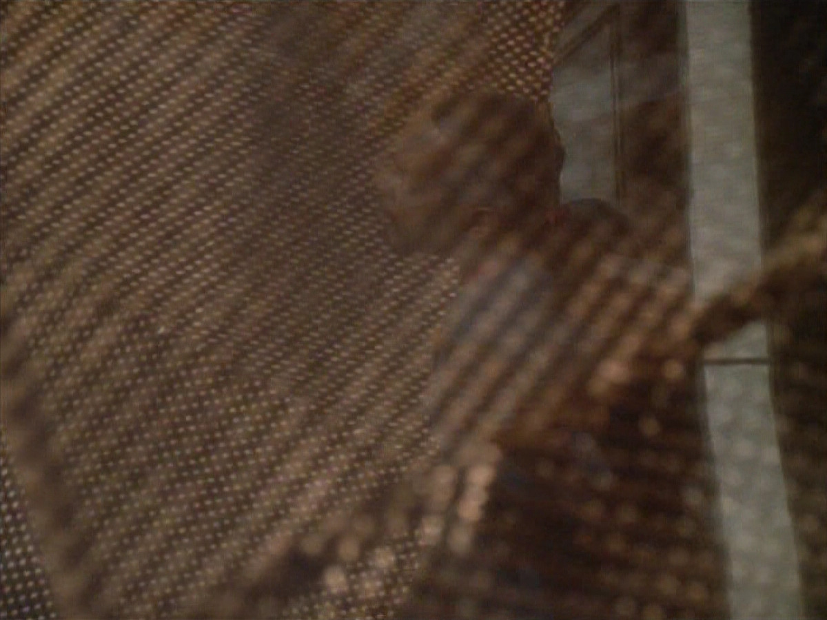 extant_StarTrek_DS9_3x22-Explorers_00706.jpg