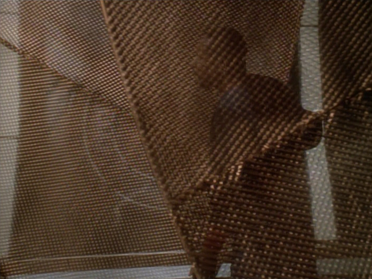 extant_StarTrek_DS9_3x22-Explorers_00711.jpg