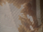 Filename=extant_StarTrek_DS9_3x22-Explorers_00705.jpg
Filesize=194KiB
Dimensions=1200x900
Date added=Sep 07, 2019 extant_StarTrek_DS9_3x22-Explorers_00705.jpg