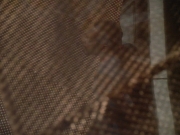 Filename=extant_StarTrek_DS9_3x22-Explorers_00706.jpg
Filesize=203KiB
Dimensions=1200x900
Date added=Sep 07, 2019 extant_StarTrek_DS9_3x22-Explorers_00706.jpg