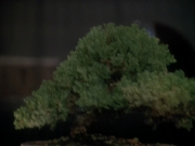 Filename=extant_StarTrek_DS9_3x22-Explorers_02349.jpg
Filesize=140KiB
Dimensions=1200x900
Date added=Sep 07, 2019 extant_StarTrek_DS9_3x22-Explorers_02349.jpg
