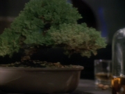 Filename=extant_StarTrek_DS9_3x22-Explorers_02350.jpg
Filesize=157KiB
Dimensions=1200x900
Date added=Sep 07, 2019 extant_StarTrek_DS9_3x22-Explorers_02350.jpg