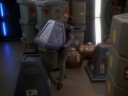 Filename=extant_StarTrek_DS9_3x23-FamilyBusiness_02032.jpg
Filesize=154KiB
Dimensions=1200x900
Date added=Sep 07, 2019 extant_StarTrek_DS9_3x23-FamilyBusiness_02032.jpg