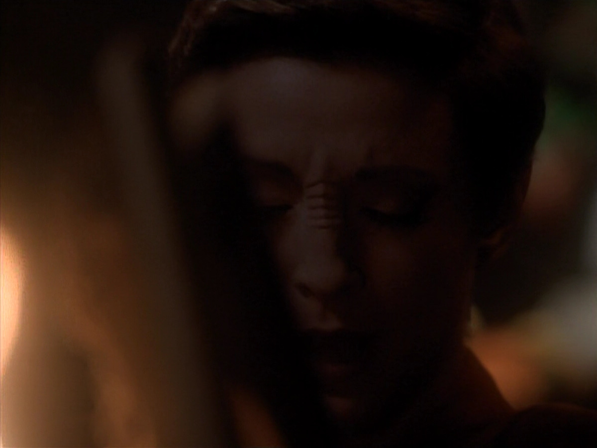 extant_StarTrek_DS9_3x24-Shakaar_00099.jpg