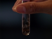 Filename=extant_StarTrek_DS9_3x26-TheAdversary_02931.jpg
Filesize=129KiB
Dimensions=1200x900
Date added=Sep 09, 2019 extant_StarTrek_DS9_3x26-TheAdversary_02931.jpg