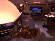 Filename=extant_StarTrek_DS9_3x26-TheAdversary_03512.jpg
Filesize=223KiB
Dimensions=1200x900
Date added=Sep 09, 2019 extant_StarTrek_DS9_3x26-TheAdversary_03512.jpg