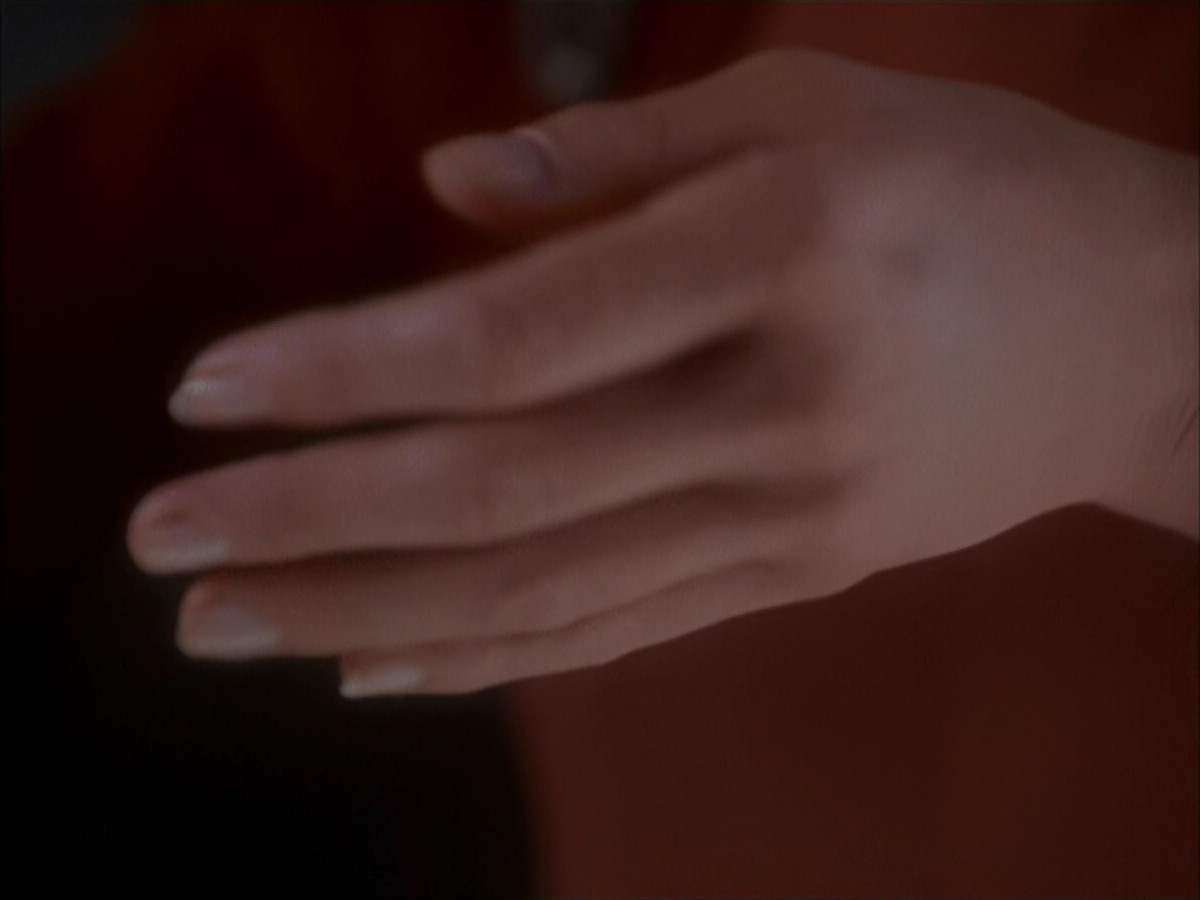 extant_StarTrek_DS9_4x01_4x02-TheWayOfTheWarrior_000951.jpg