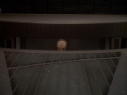 Filename=extant_StarTrek_DS9_4x01_4x02-TheWayOfTheWarrior_007642.jpg
Filesize=155KiB
Dimensions=1200x900
Date added=Oct 11, 2019 extant_StarTrek_DS9_4x01_4x02-TheWayOfTheWarrior_007642.jpg