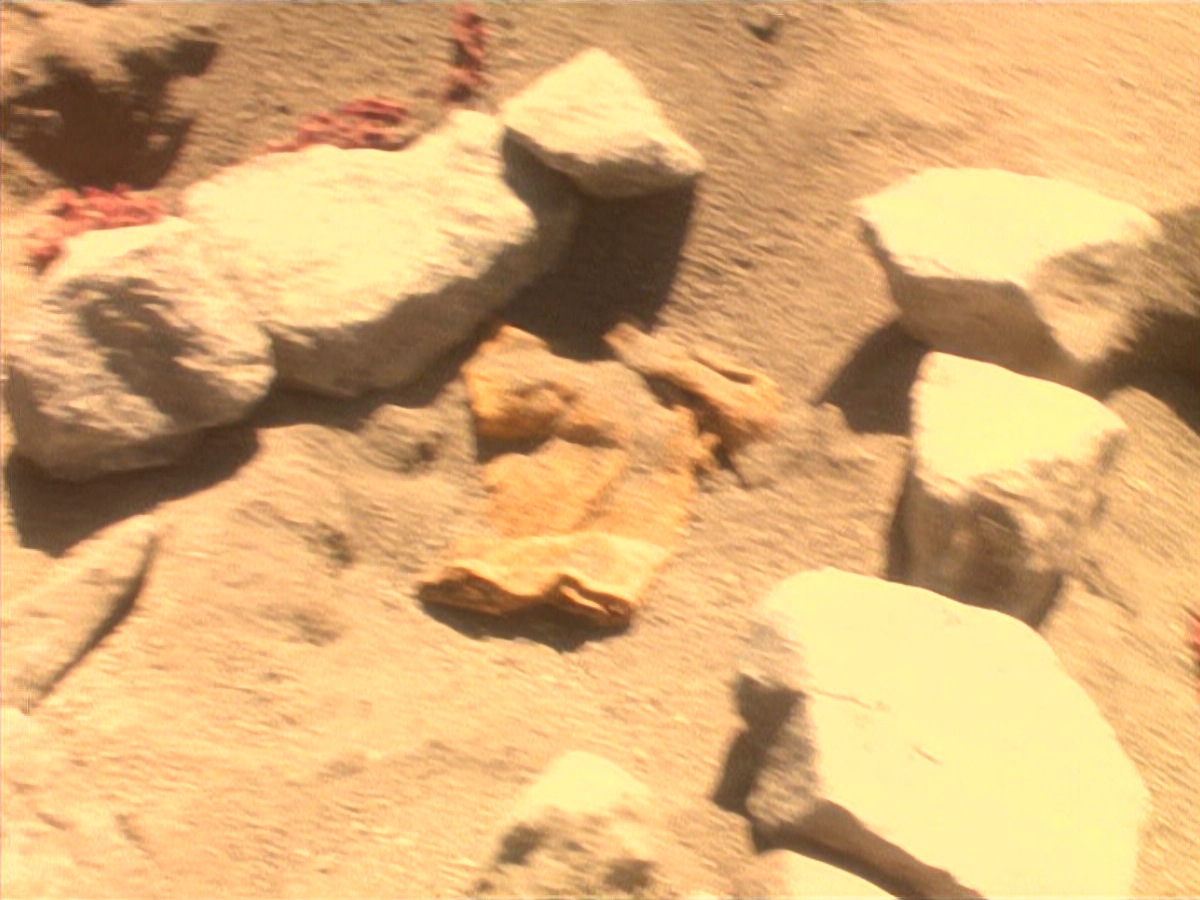 extant_StarTrek_DS9_4x05-Indiscretion_2213.jpg