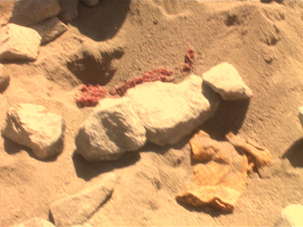 extant_StarTrek_DS9_4x05-Indiscretion_2214.jpg