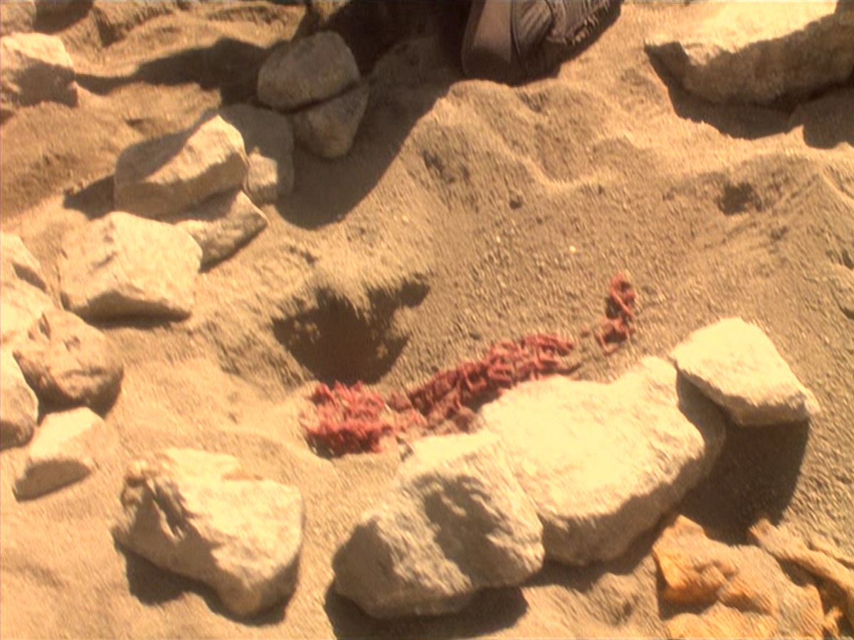 extant_StarTrek_DS9_4x05-Indiscretion_2215.jpg