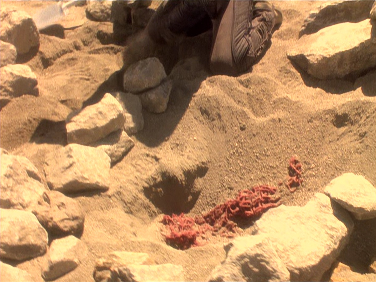 extant_StarTrek_DS9_4x05-Indiscretion_2216.jpg