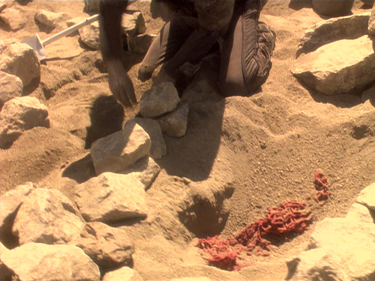 extant_StarTrek_DS9_4x05-Indiscretion_2217.jpg