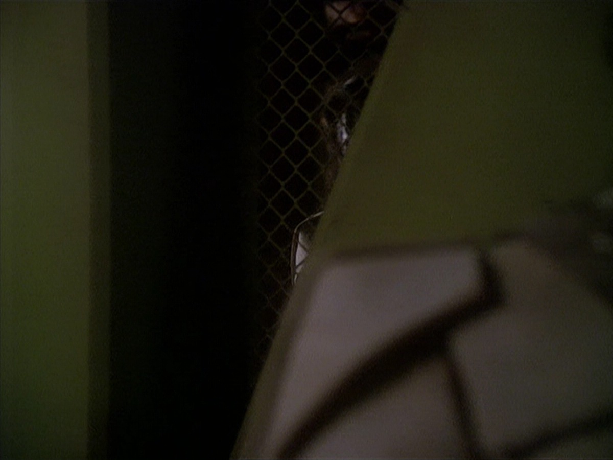extant_StarTrek_DS9_4x05-Indiscretion_3645.jpg