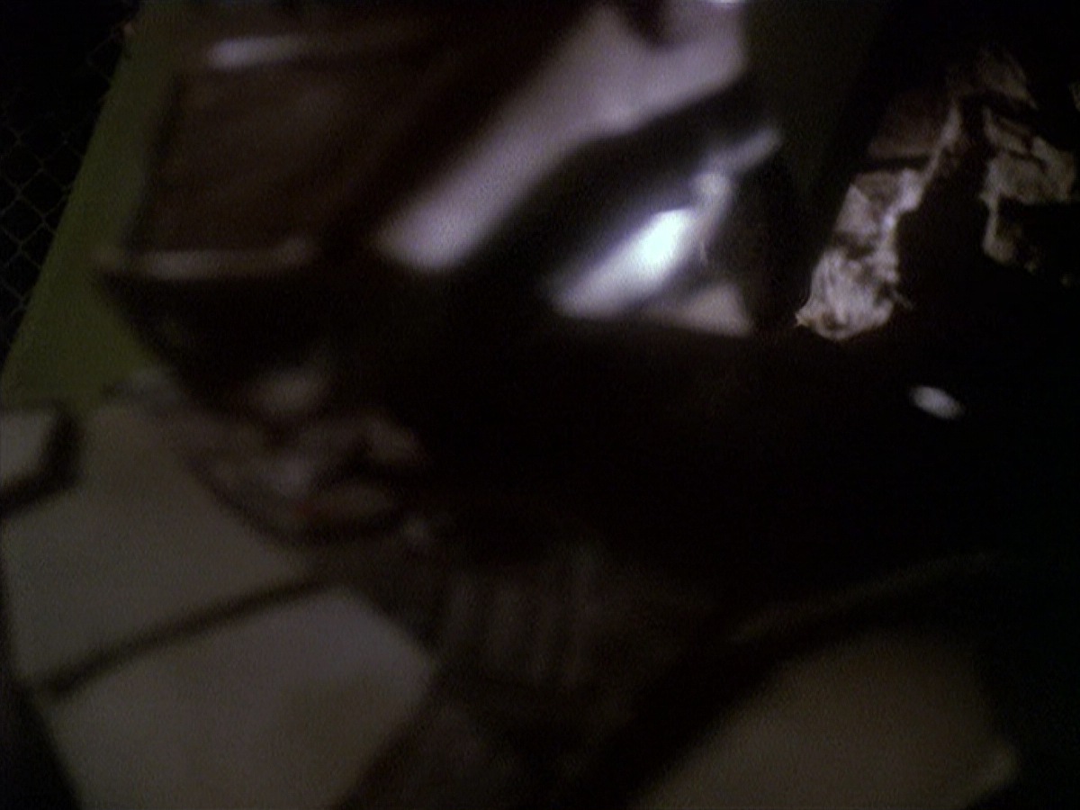 extant_StarTrek_DS9_4x05-Indiscretion_3647.jpg